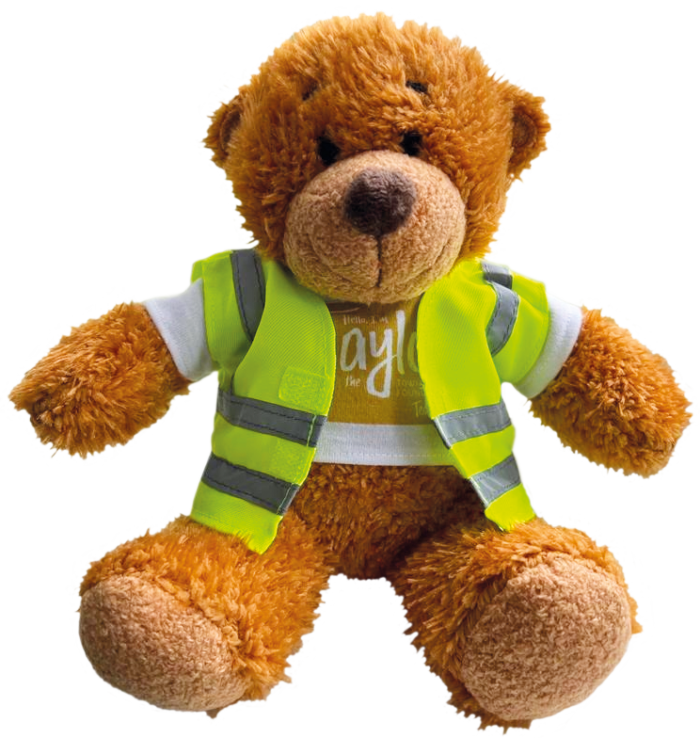 Taylor the Town Hall Foundation Teddy Bear